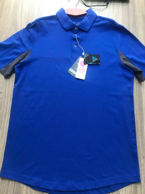 Classic Polo (3)
