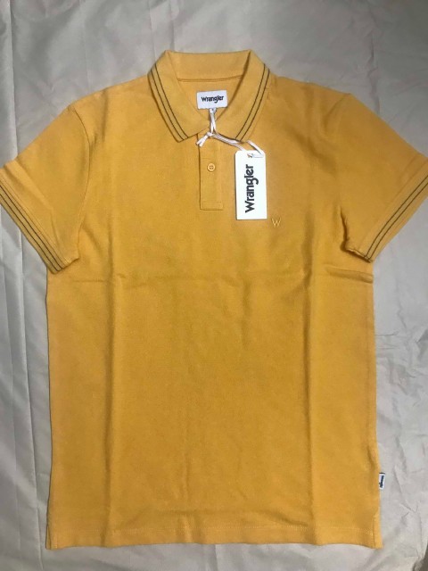Classic Polo (37)